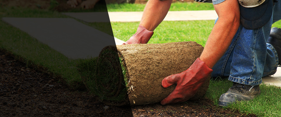 Rockville Landscapers